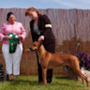 Meet your Posher, Christine